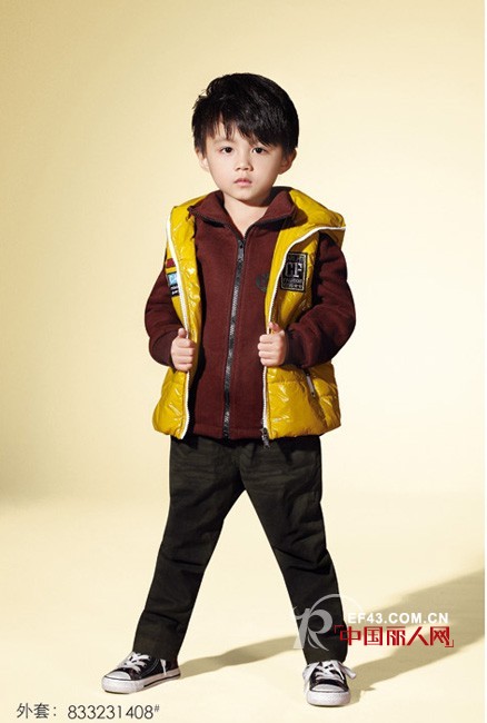 卡儿菲特-carlfit