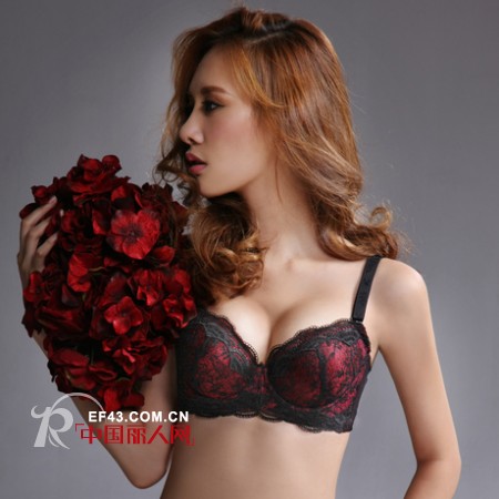 夏娃之秀品牌内衣 浪漫颜色绽放柔美性感气质