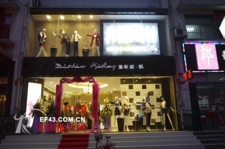 迪斯廷.凯-DistinKidny