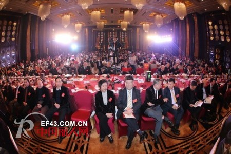 2013深商迎春大会隆重举行,迪芬娜榜上有名