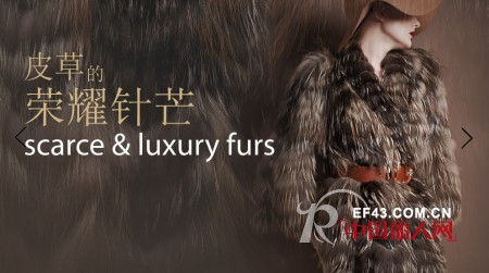 爱丽娜米罗-elenamiro