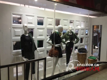 迪斯廷.凯-DistinKidny