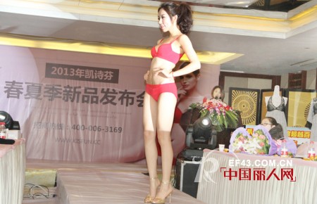 凯诗芬2012完胜巨奖优秀终端20万凯美瑞