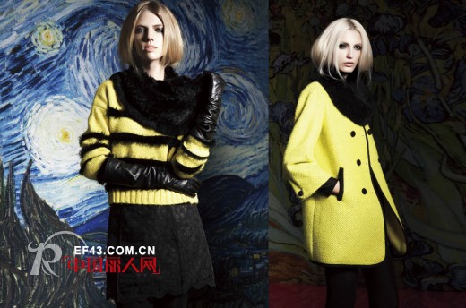 迪斯廷.凯-DistinKidny