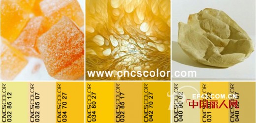 JORPOSE.JORYAH2013年冬季流行色抢先看