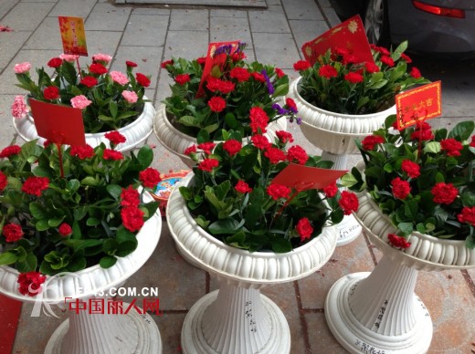 风笛女装十月喜结硕果 浙闽两地三店齐开业