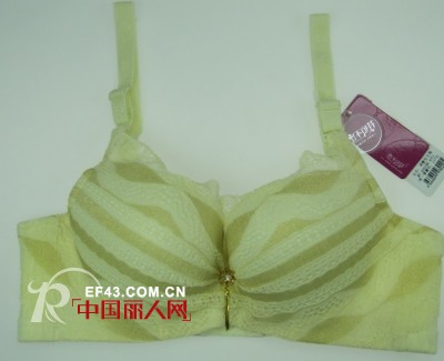 丽人岛品牌内衣 成就女人极致魅力