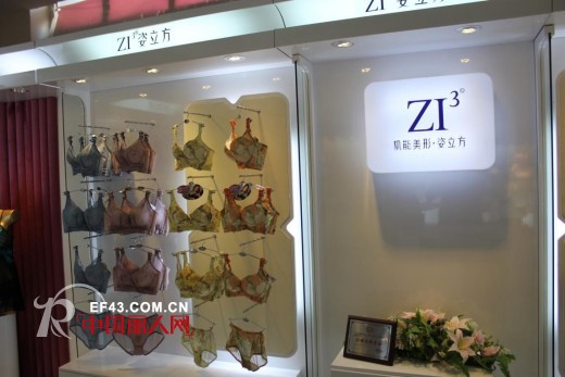 “冬季里的一把火”姿立方闪亮内蒙招商会