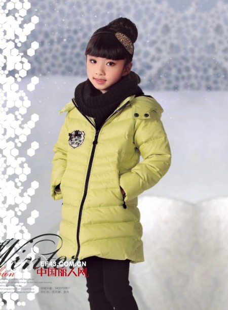 卡儿菲特-carlfit