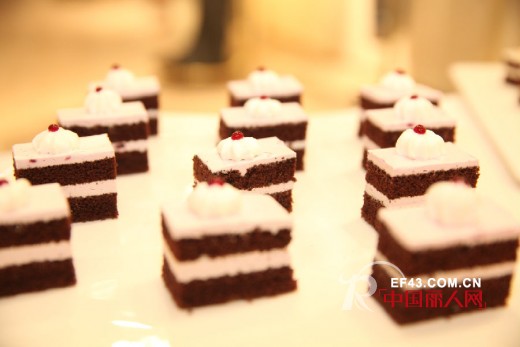 ELLASSAY（歌力思）华南首家旗舰店盛装开幕