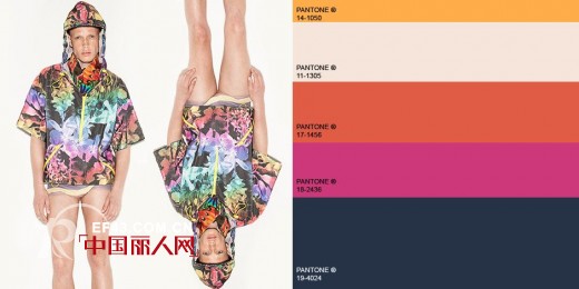 楚薇薇分享 2014春夏运动装色彩流行方向