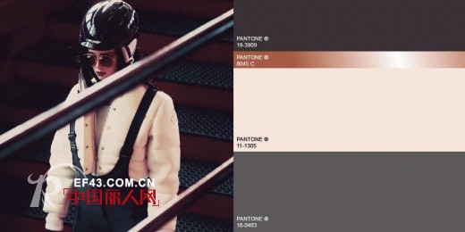 楚薇薇分享 2014春夏运动装色彩流行方向