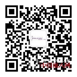 从刺猬理论看团队建设