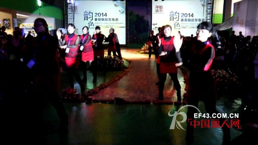 华艺嘉年全国巡回订货会完美收官 昆明站压轴创惊喜