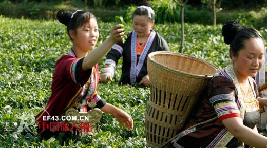 土家族服饰 四十八勾不算巧