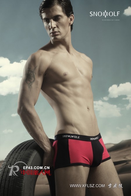 雪飞狼-SNOWWOLF