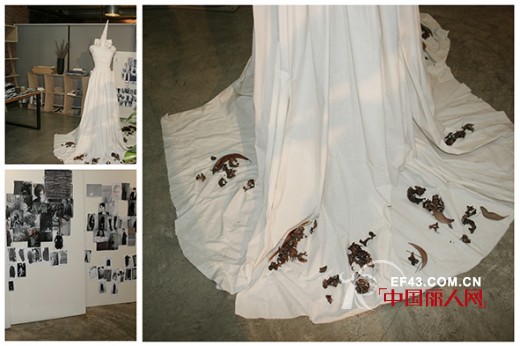 走进ZAIN —— 艺术•古典