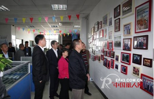 新邵县伍书记等领导一行莅临我司参观指导