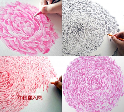 爱丽娜米罗-elenamiro