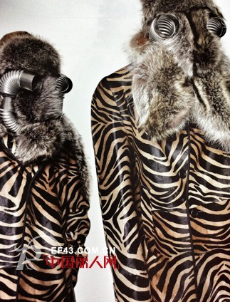 异形重造  如何用温度测量我们的冬季