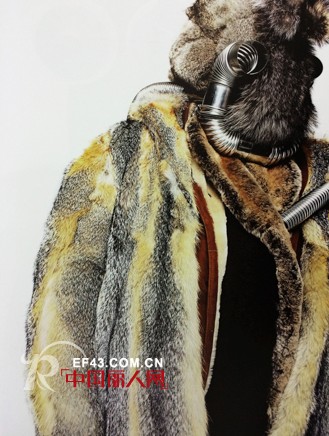 异形重造  如何用温度测量我们的冬季