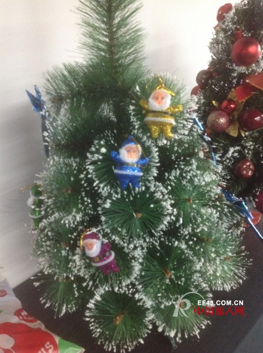 蓝眼精灵喜迎圣诞节