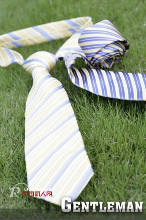 布鲁斯金熊 - PRUCE BEAR