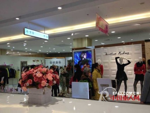 迪斯廷.凯-DistinKidny