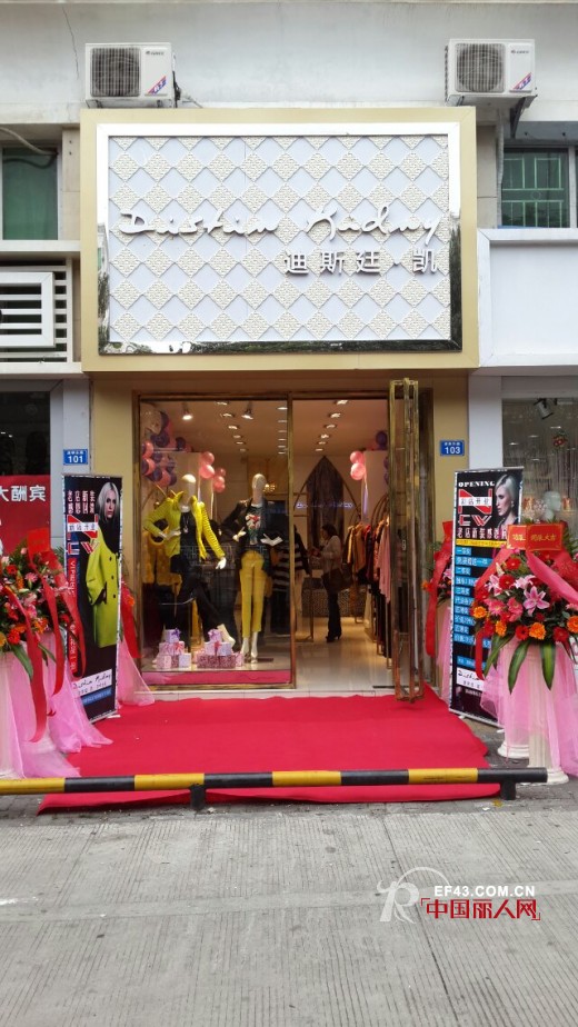 迪斯廷.凯-DistinKidny