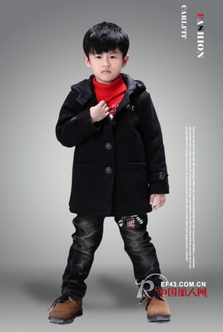 卡儿菲特-carlfit