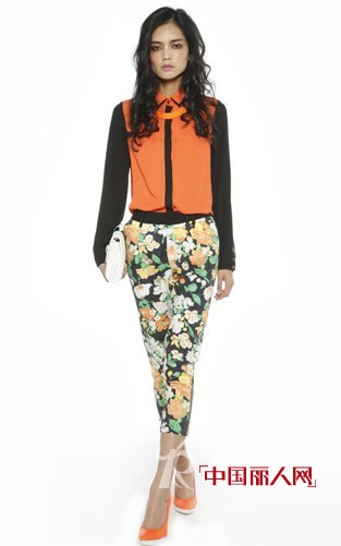 杰西伍 - JECCI FIVE