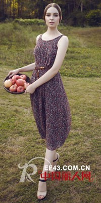 经典故事-JANESTORY