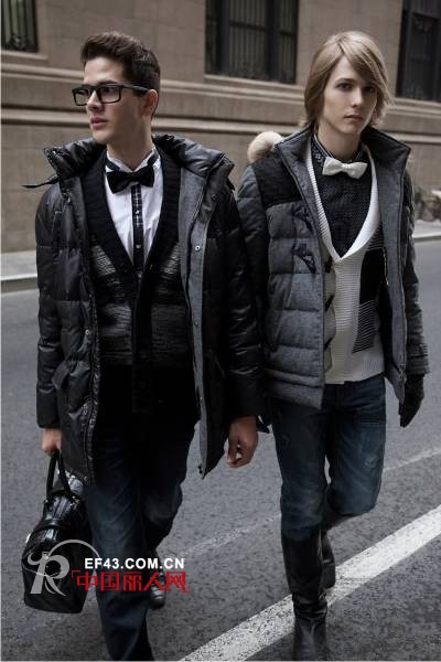 摩尼卡思-molicars