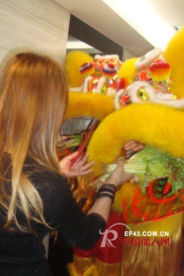 醒狮采青庆贺新春 卡琪新貌大放异彩