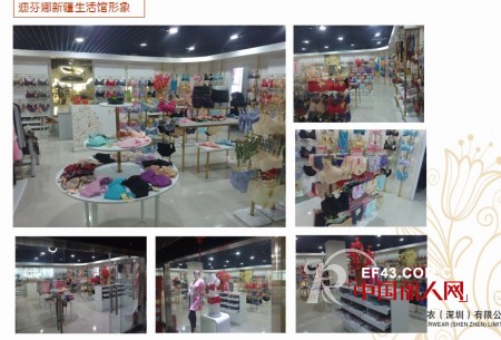 迪芬娜内衣生活馆2012店铺回顾 花开全国争创百年品牌