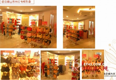 迪芬娜内衣生活馆2012店铺回顾 花开全国争创百年品牌