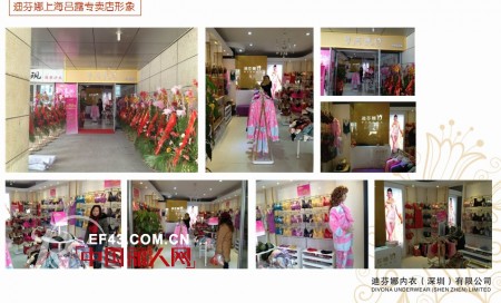 迪芬娜内衣生活馆2012店铺回顾 花开全国争创百年品牌