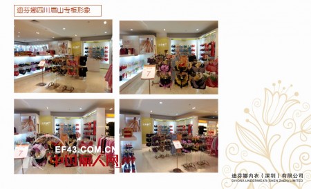 迪芬娜内衣生活馆2012店铺回顾 花开全国争创百年品牌