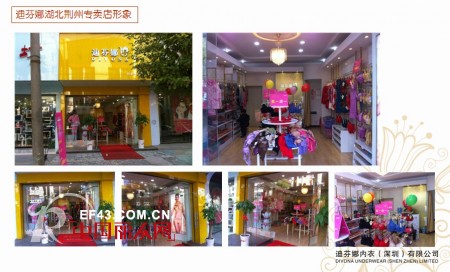 迪芬娜内衣生活馆2012店铺回顾 花开全国争创百年品牌