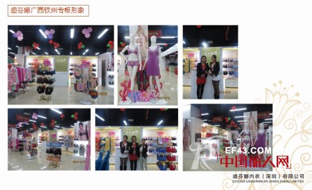 迪芬娜内衣生活馆2012店铺回顾 花开全国争创百年品牌