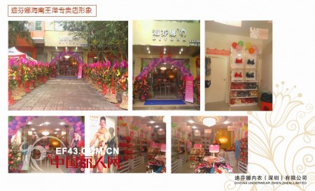 迪芬娜内衣生活馆2012店铺回顾 花开全国争创百年品牌