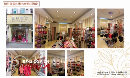 迪芬娜内衣生活馆2012店铺回顾 花开全国争创百年品牌