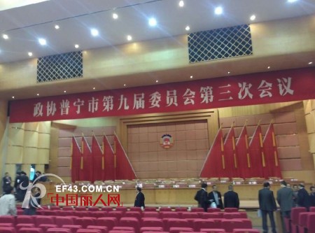 政协广东省普宁市委员会委员,迪芬娜集团总经理秦群生先生出席普宁市“两会”