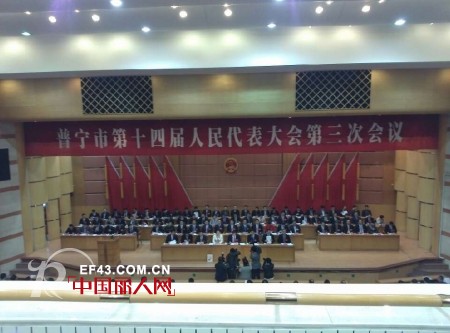 政协广东省普宁市委员会委员,迪芬娜集团总经理秦群生先生出席普宁市“两会”