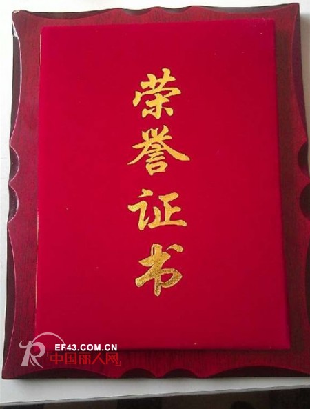 唯路易荣获《2012年度最具发展潜力婴童品牌》奖