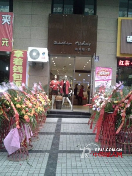 迪斯廷.凯-DistinKidny