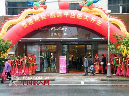 迪斯廷.凯-DistinKidny