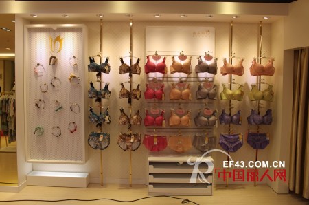 蜕变·迪芬娜2013秋冬新品发布会圆满落幕