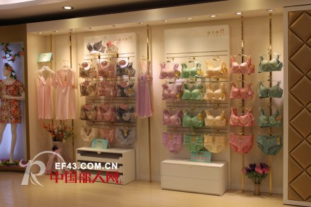 蜕变·迪芬娜2013秋冬新品发布会圆满落幕