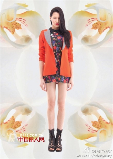 宝贝玛丽-babymary